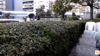 12月14日白色情人节⭕❌⭕❌调教极品少妇